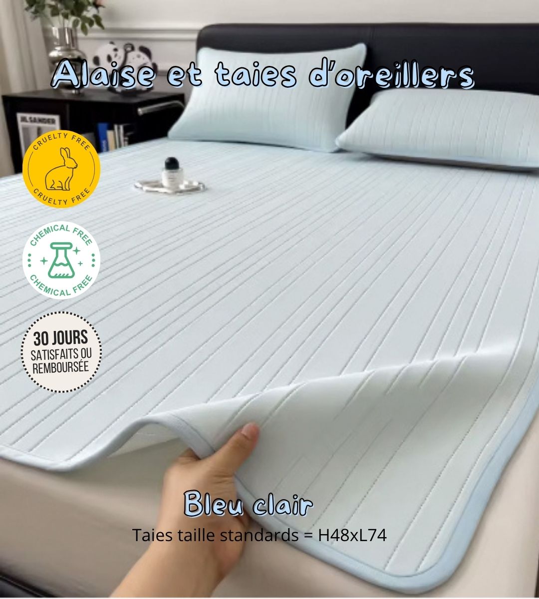Ensemble alaise et taies d'oreillers rafraîchissantes anti-bactériennes imperméables