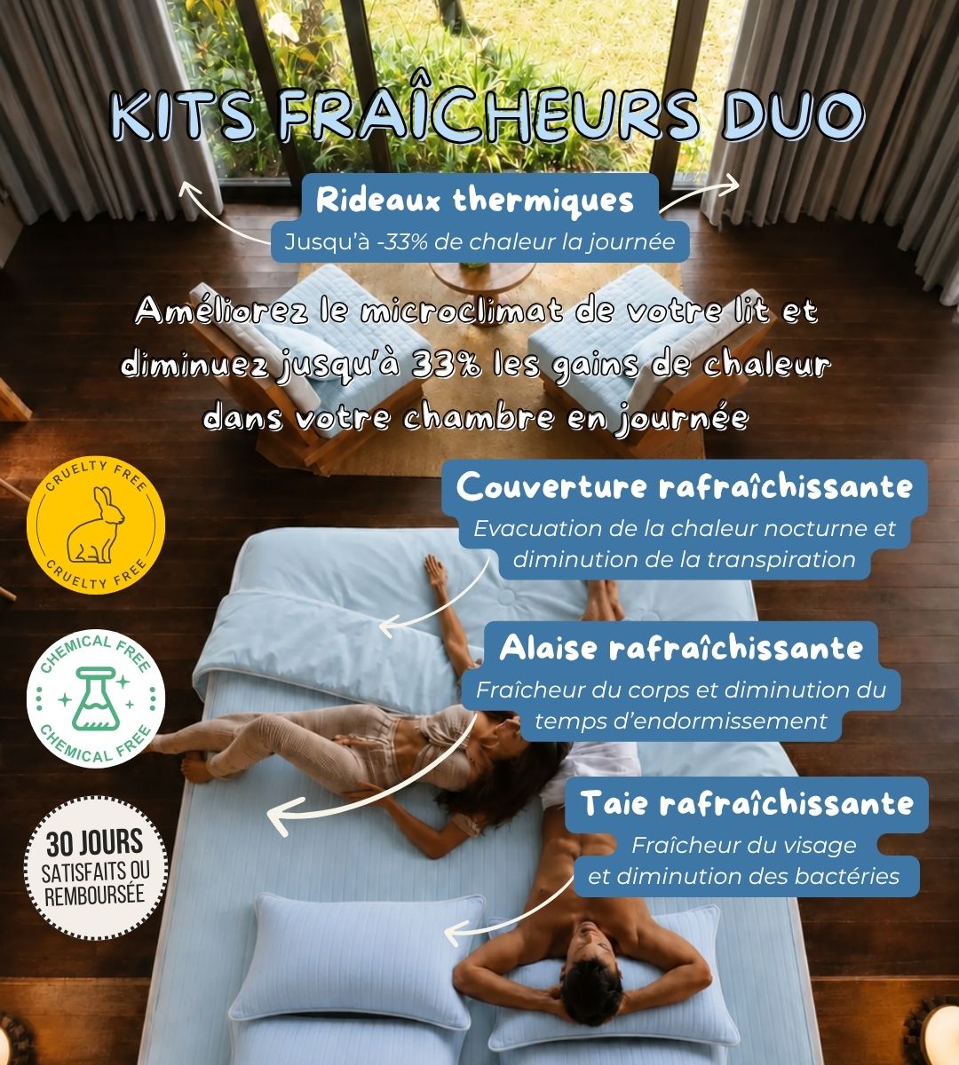 Alaise et 2 taies d'oreillers rafraîchissantes anti-bactériennes imperméables